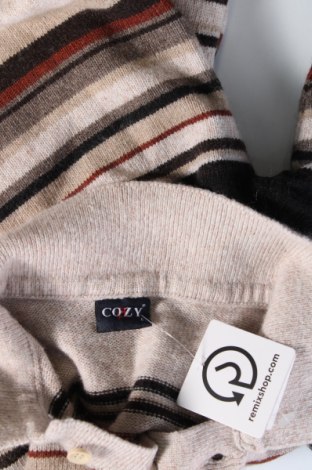 Pánsky sveter  Cozy, Veľkosť L, Farba Viacfarebná, Cena  17,85 €