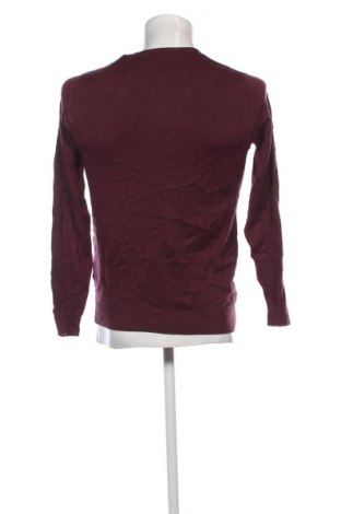 Herrenpullover Piazza Italia, Größe S, Farbe Lila, Preis € 24,99