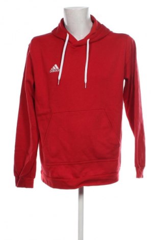 Herren Sweatshirt Adidas, Größe L, Farbe Rot, Preis € 63,43