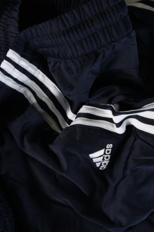 Pánske tepláky Adidas, Veľkosť XL, Farba Modrá, Cena  27,45 €