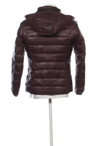 Herrenjacke Best Company, Größe XL, Farbe Braun, Preis 33,99 €