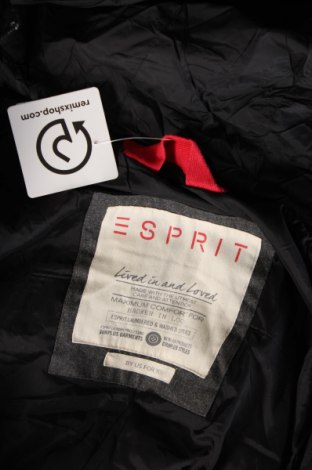 Herrenjacke Esprit, Größe M, Farbe Grau, Preis € 43,49