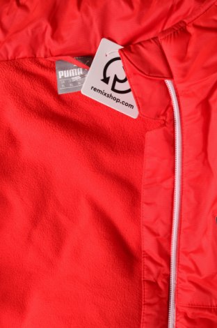 Herrenjacke PUMA, Größe XL, Farbe Rot, Preis € 57,49