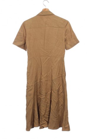 Kleid Massimo Dutti, Größe XS, Farbe Beige, Preis € 41,91