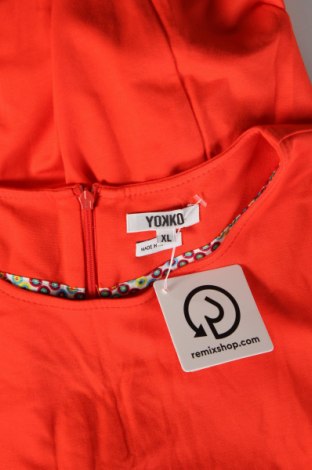 Kleid Yokko, Größe XL, Farbe Orange, Preis € 55,34