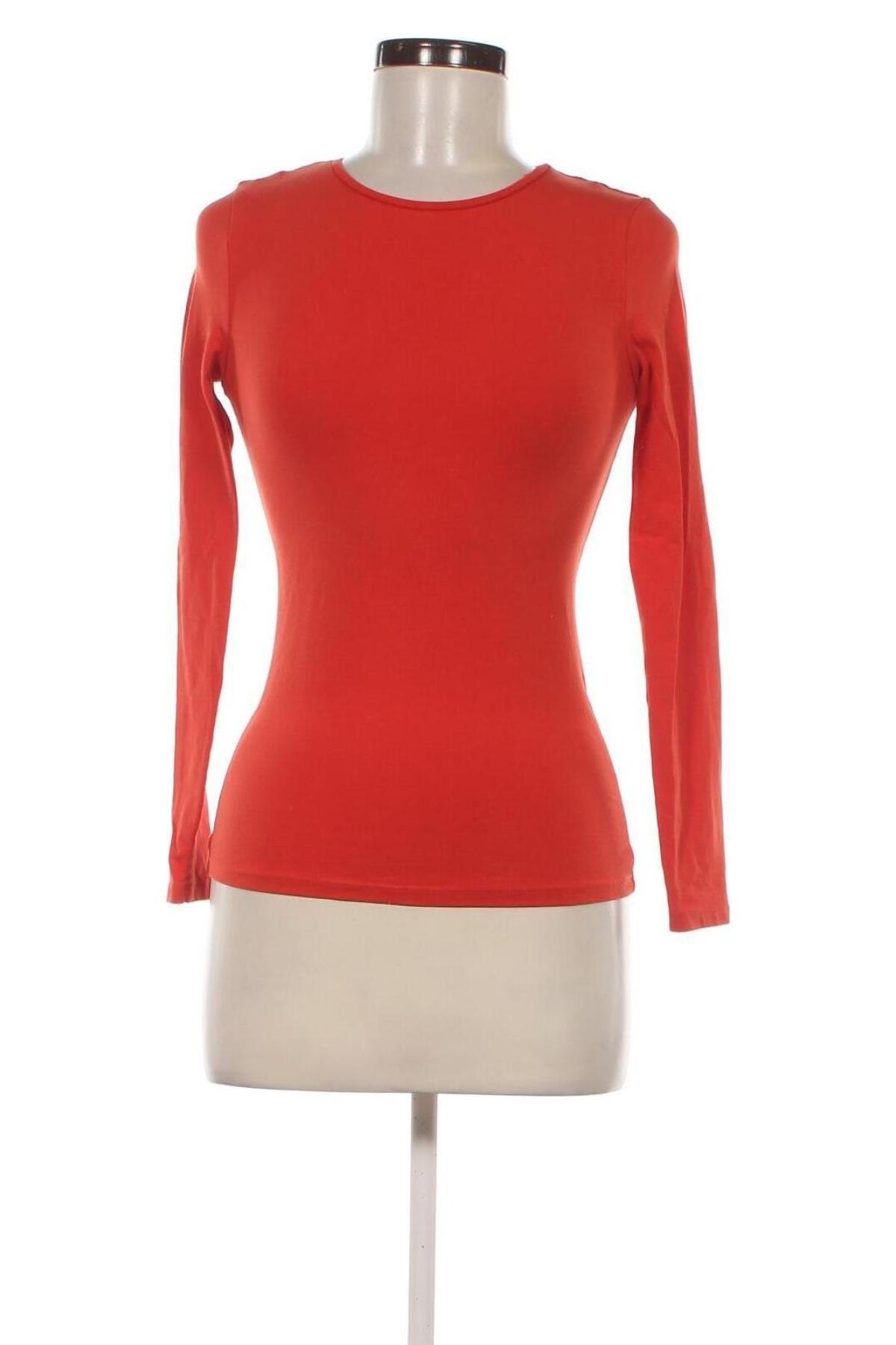 Damen Shirt, Größe S, Farbe Orange, Preis € 6,99