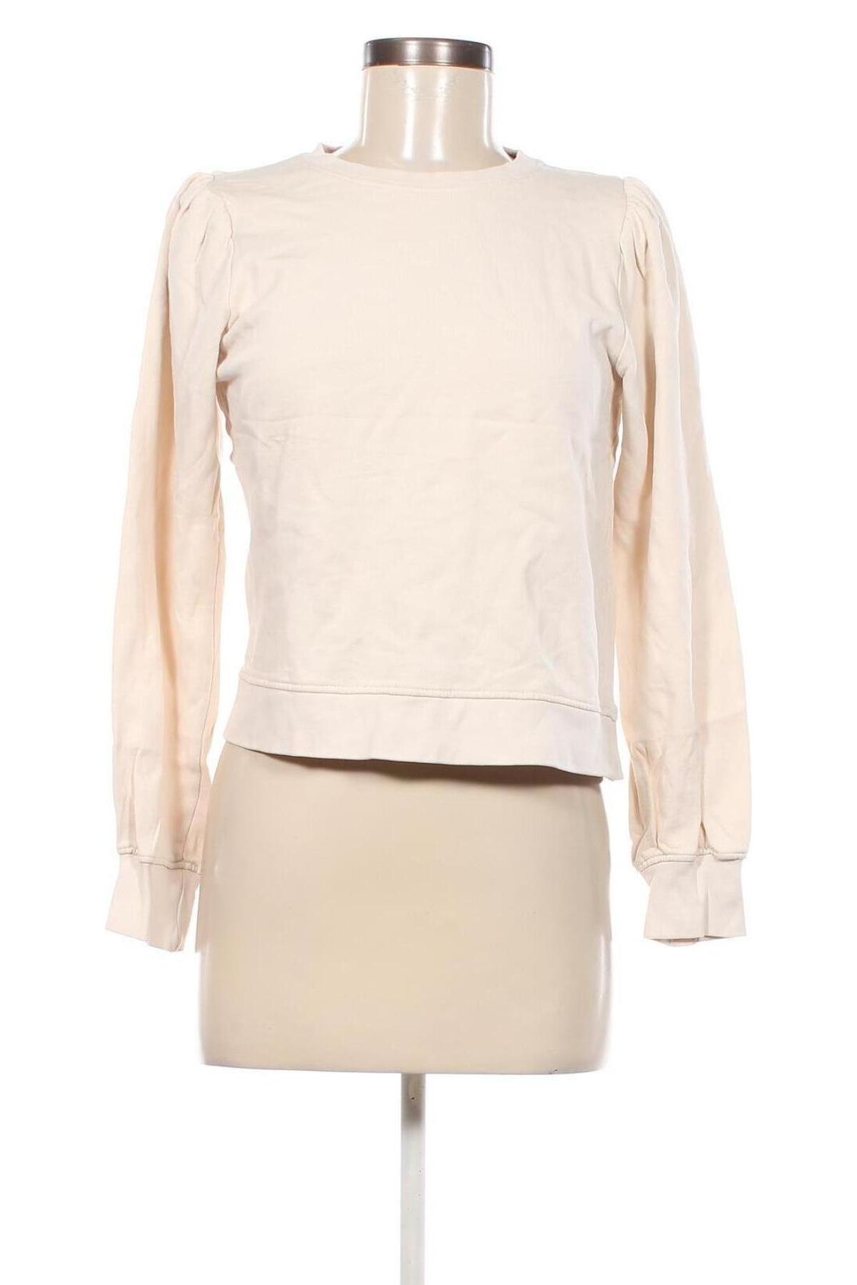 Damen Shirt KappAhl, Größe S, Farbe Ecru, Preis 8,99 €