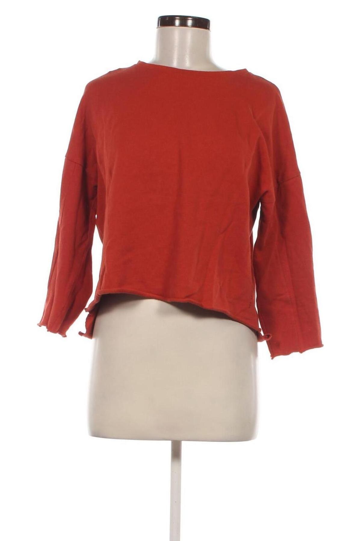 Damen Shirt Mango, Größe S, Farbe Rot, Preis € 13,80