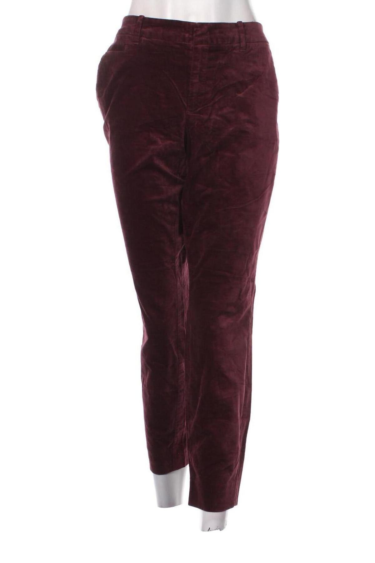 Damenhose S.Oliver, Größe XXL, Farbe Lila, Preis € 28,99