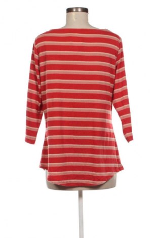 Γυναικεία μπλούζα Anko, Μέγεθος XL, Χρώμα Πολύχρωμο, Τιμή 7,99 €