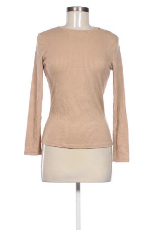 Γυναικεία μπλούζα Anko, Μέγεθος M, Χρώμα Καφέ, Τιμή 4,99 €