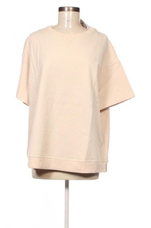 Damen Shirt Brax, Größe XL, Farbe Beige, Preis € 62,99