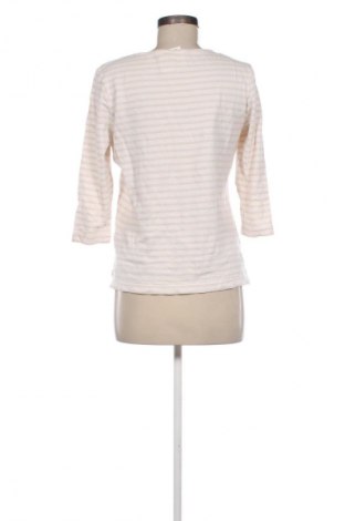 Bluzka damska Brax, Rozmiar M, Kolor Kolorowy, Cena 110,34 zł