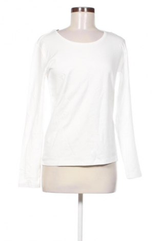 Damen Shirt Cecil, Größe M, Farbe Weiß, Preis € 51,99