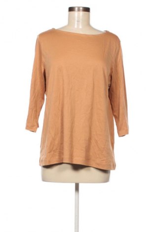 Damen Shirt Christian Berg, Größe XL, Farbe Braun, Preis € 17,99