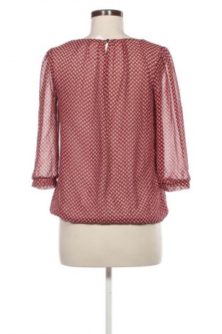 Dámská halenka Clockhouse, Velikost S, Barva Vícebarevné, Cena  159,00 Kč