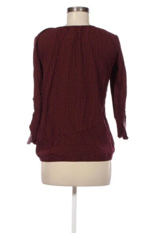 Γυναικεία μπλούζα Janina, Μέγεθος M, Χρώμα Πολύχρωμο, Τιμή 5,99 €