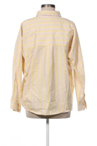 Γυναικεία μπλούζα Mac, Μέγεθος L, Χρώμα Πολύχρωμο, Τιμή 11,99 €