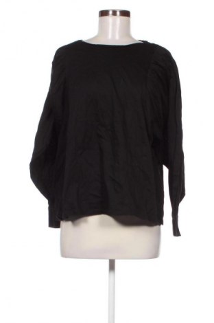 Damen Shirt Massimo Dutti, Größe L, Farbe Schwarz, Preis € 45,81
