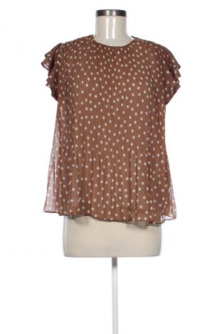 Γυναικεία μπλούζα Motivi, Μέγεθος S, Χρώμα Πολύχρωμο, Τιμή 20,97 €