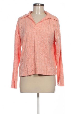 Dámska blúza Papaya, Veľkosť XL, Farba Viacfarebná, Cena  8,95 €