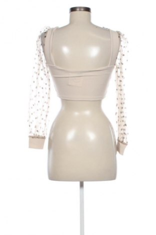 Γυναικεία μπλούζα SHEIN, Μέγεθος XS, Χρώμα Πολύχρωμο, Τιμή 5,99 €