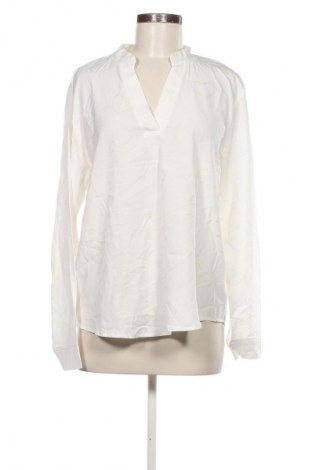 Dámska blúza SHEIN, Veľkosť XL, Farba Viacfarebná, Cena  2,95 €