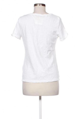 Damen Shirt Stefanel, Größe M, Farbe Weiß, Preis € 34,78