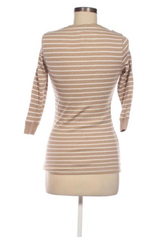 Dámska blúza Terranova, Veľkosť M, Farba Viacfarebná, Cena  9,72 €