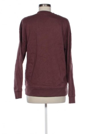 Damen Shirt Zara, Größe S, Farbe Braun, Preis € 11,99