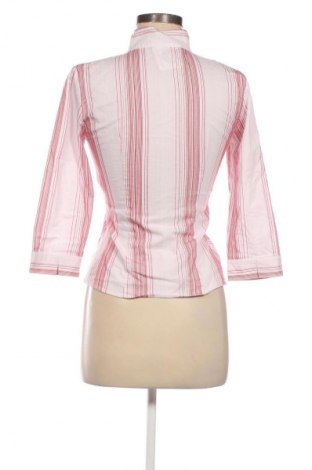 Damen Shirt Zero Base, Größe S, Farbe Mehrfarbig, Preis € 6,99