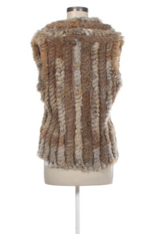 Damen Strickjacke Betty Barclay, Größe L, Farbe Mehrfarbig, Preis € 19,99