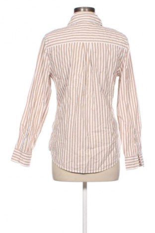 Dámska košeľa  Amazon Essentials, Veľkosť S, Farba Viacfarebná, Cena  3,95 €