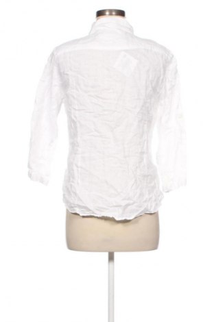 Damenbluse Clarina Collection, Größe S, Farbe Weiß, Preis 11,99 €