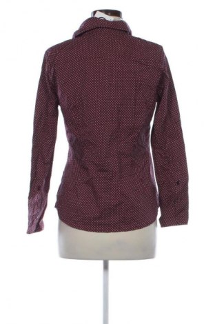 Dámska košeľa  Cleo, Veľkosť M, Farba Viacfarebná, Cena  3,95 €