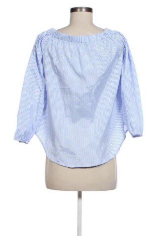 Damska koszula Colloseum, Rozmiar M, Kolor Kolorowy, Cena 11,99 zł