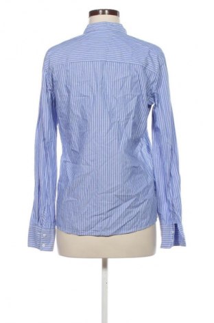 Damska koszula EXETERA, Rozmiar M, Kolor Kolorowy, Cena 50,99 zł