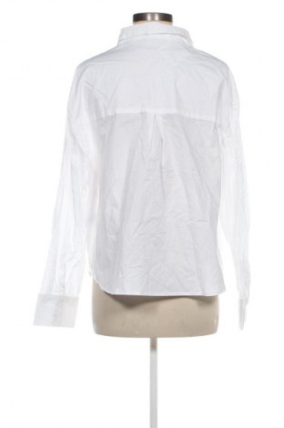 Damska koszula Esmara, Rozmiar L, Kolor Biały, Cena 45,99 zł