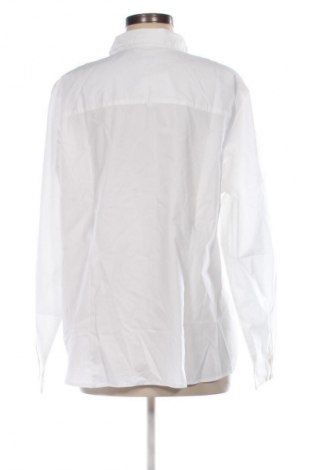 Damenbluse FLG, Größe XXL, Farbe Weiß, Preis € 26,99