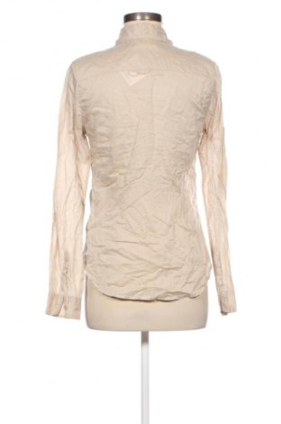 Damenbluse H&M, Größe M, Farbe Beige, Preis € 8,99
