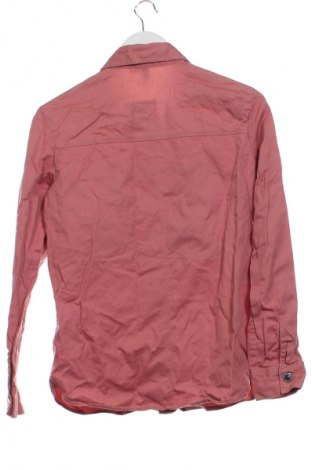 Damenbluse H&M Divided, Größe XS, Farbe Rosa, Preis € 8,99
