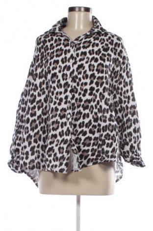 Damenbluse Haily`s, Größe L, Farbe Mehrfarbig, Preis € 50,99