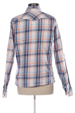 Damenbluse Hollister, Größe L, Farbe Mehrfarbig, Preis € 13,99