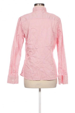 Damska koszula Jacques Britt, Rozmiar L, Kolor Kolorowy, Cena 23,99 zł