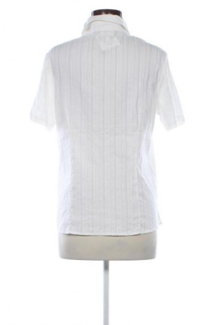 Damenbluse Kingfield, Größe L, Farbe Weiß, Preis € 9,99