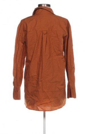 Damenbluse Mango, Größe S, Farbe Braun, Preis € 4,99