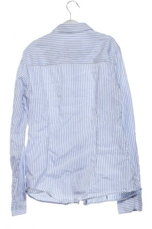 Dámska košeľa  Massimo Dutti, Veľkosť M, Farba Viacfarebná, Cena  28,00 €