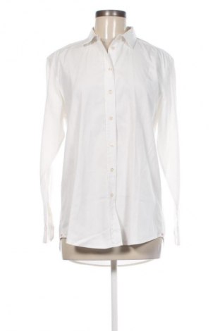 Damenbluse Massimo Dutti, Größe S, Farbe Weiß, Preis € 18,99