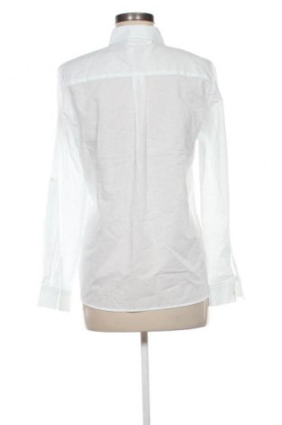 Дамска риза Milano, Размер M, Цвят Зелен, Цена 18,99 лв.