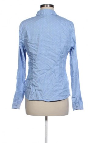 Damenbluse Orsay, Größe XL, Farbe Mehrfarbig, Preis € 12,83